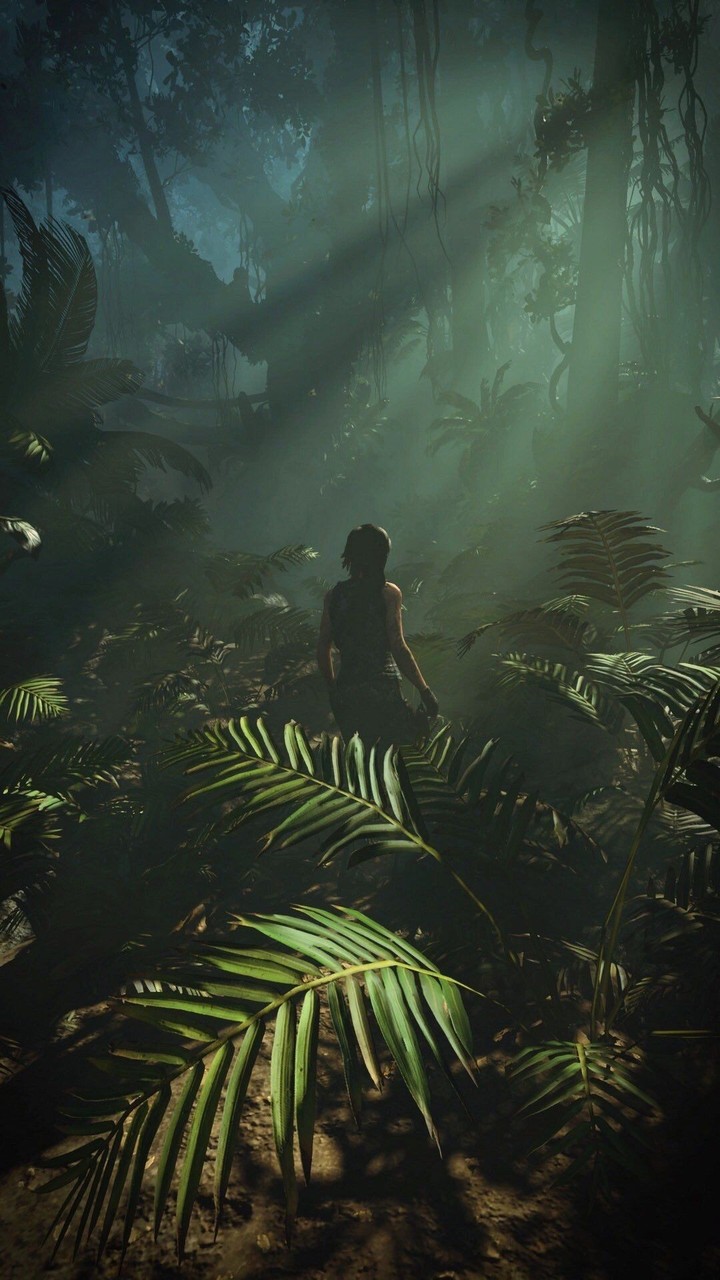 Jungle