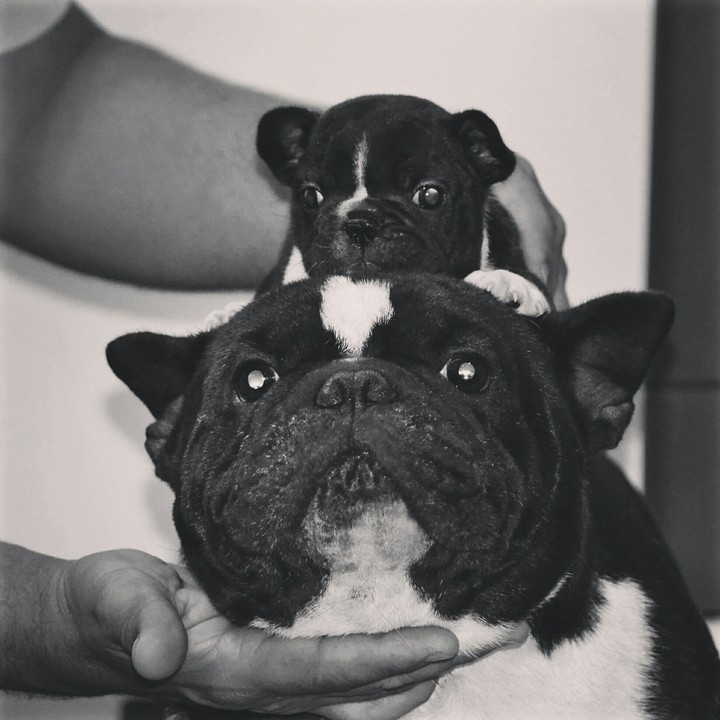 Padre e Hija