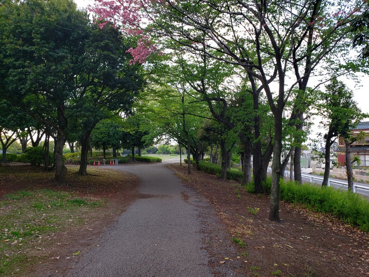 Park near my home