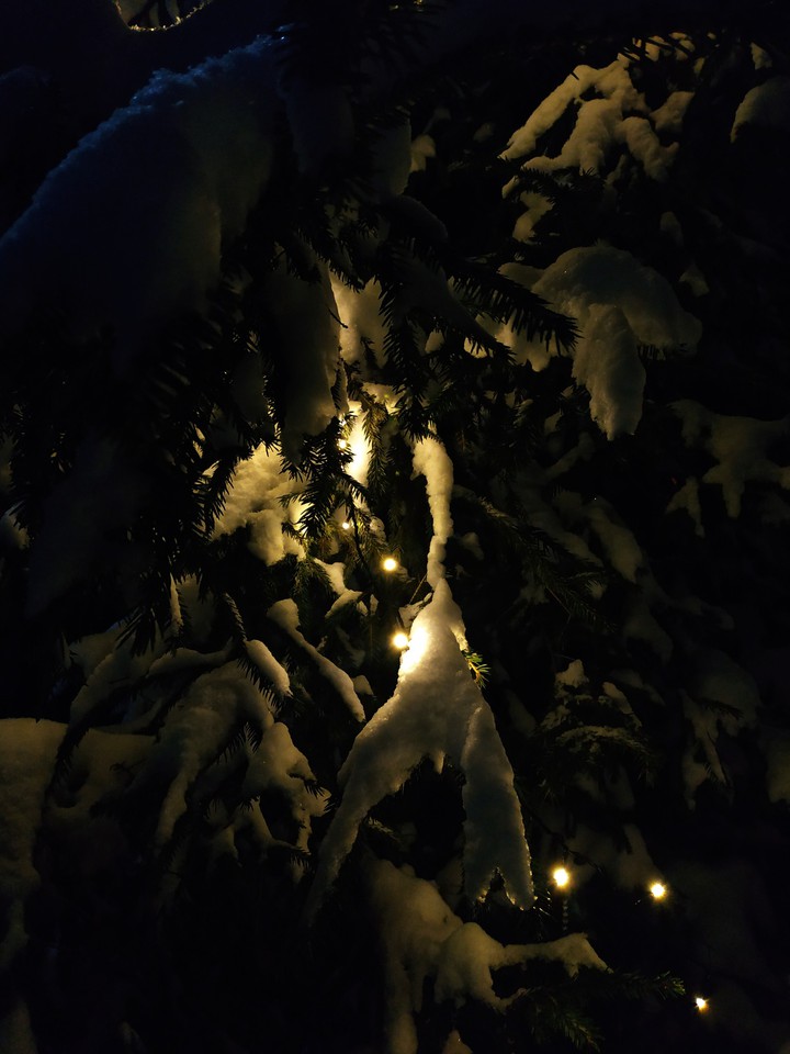 WINTER