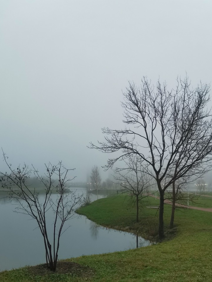 fog