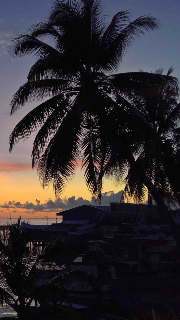 sunset