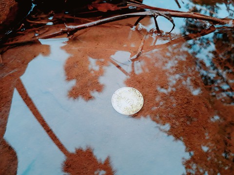 treasure in water