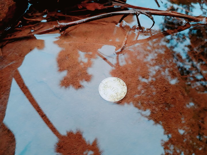treasure in water