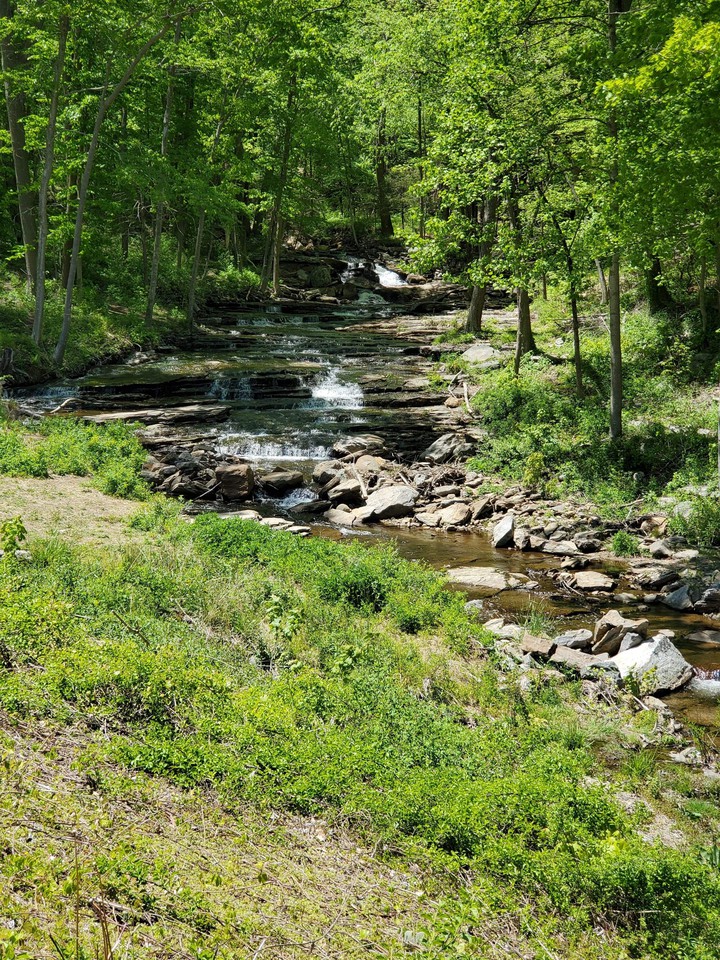 rivière & forêt