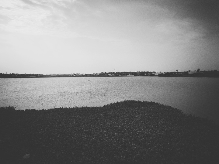 mystery island..