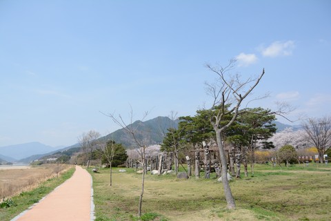 Spring