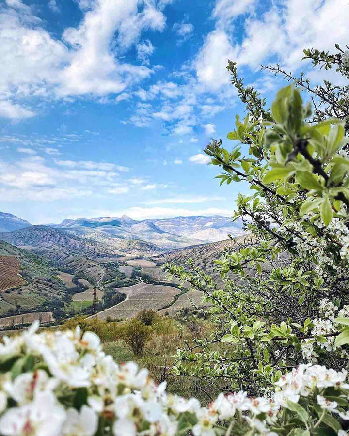 Панорама