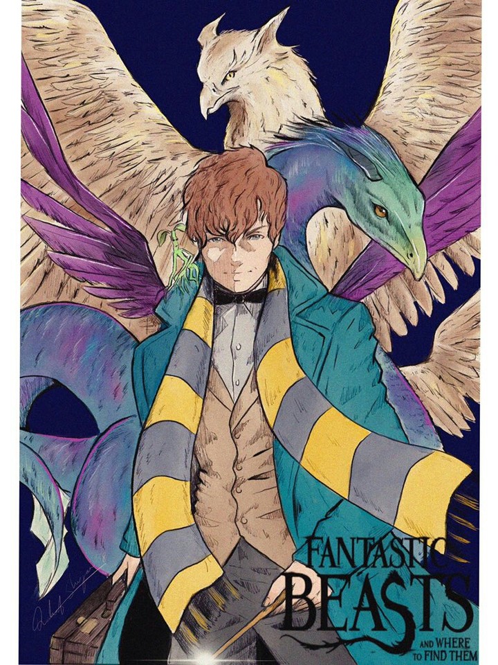 fantastic beasts and where to find them
