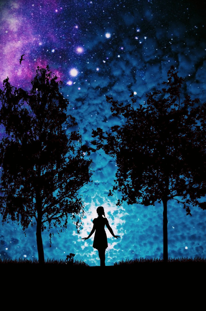 Amidst A Dreamland