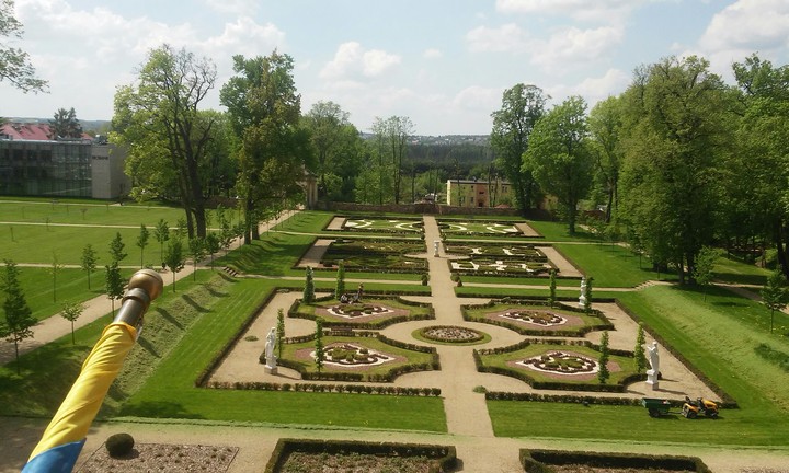 garden