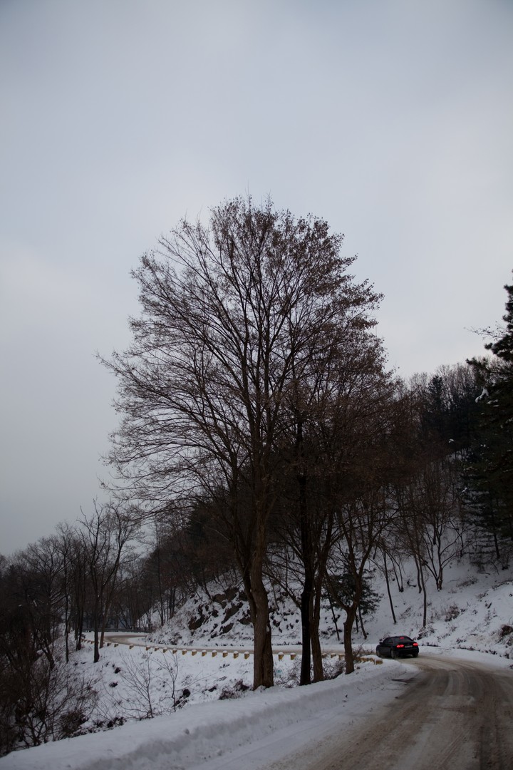 Winter