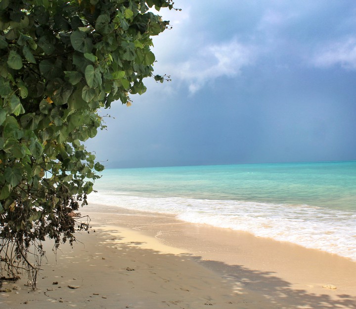 Beach Life