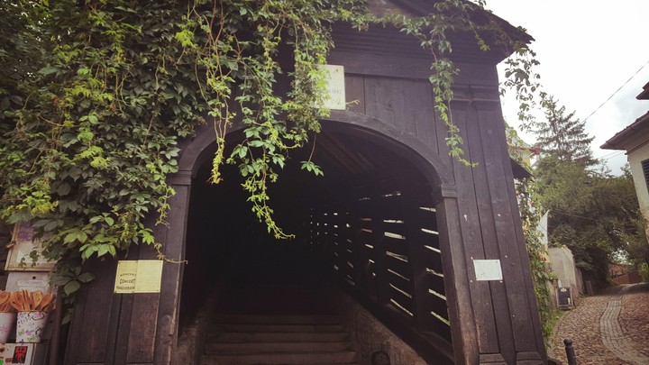tunel to the feelings