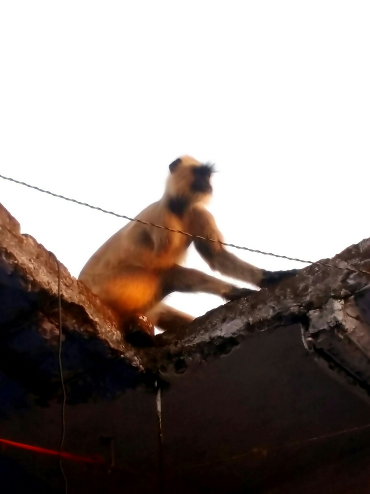 nice click