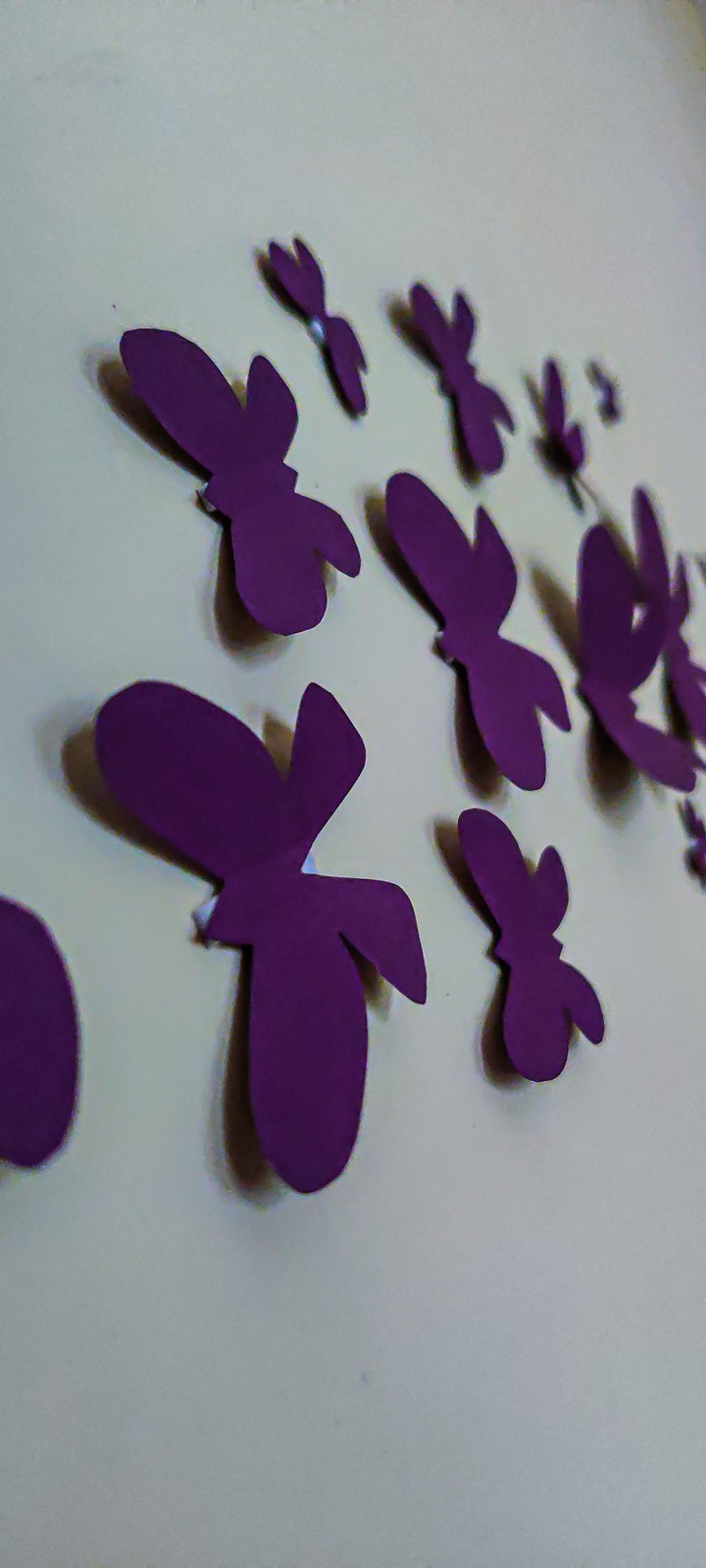 Butterflies