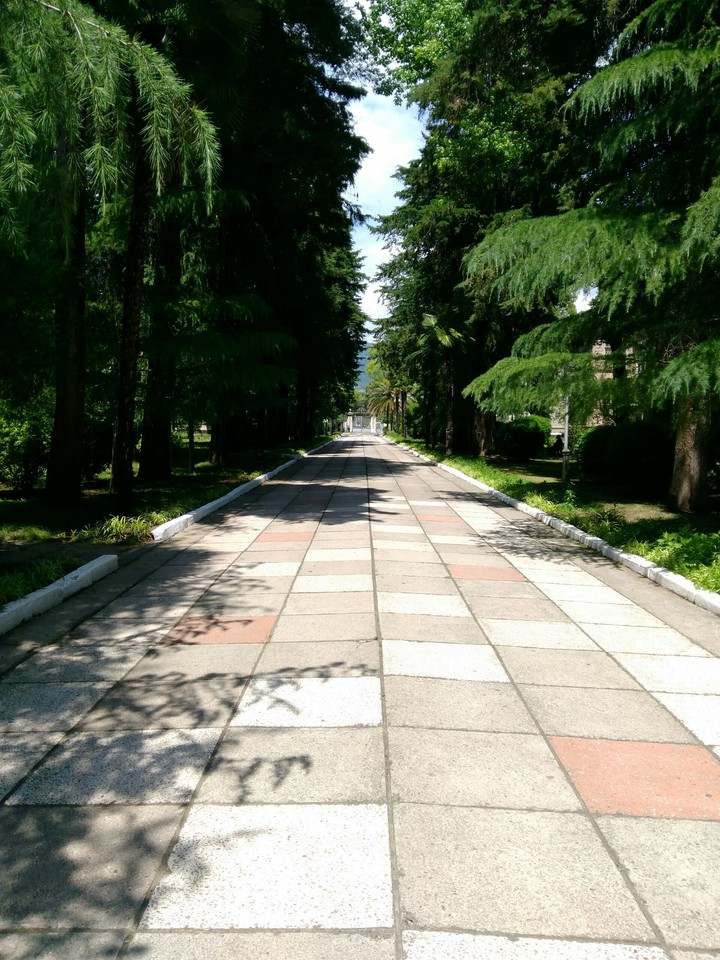 Sanatorium MVO Sukhum