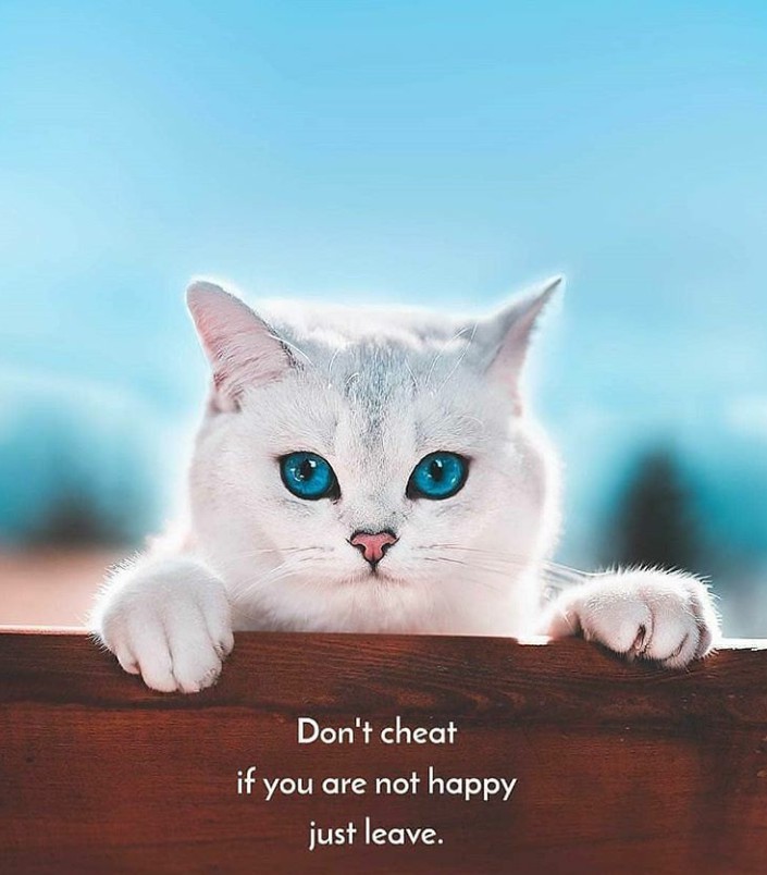 true