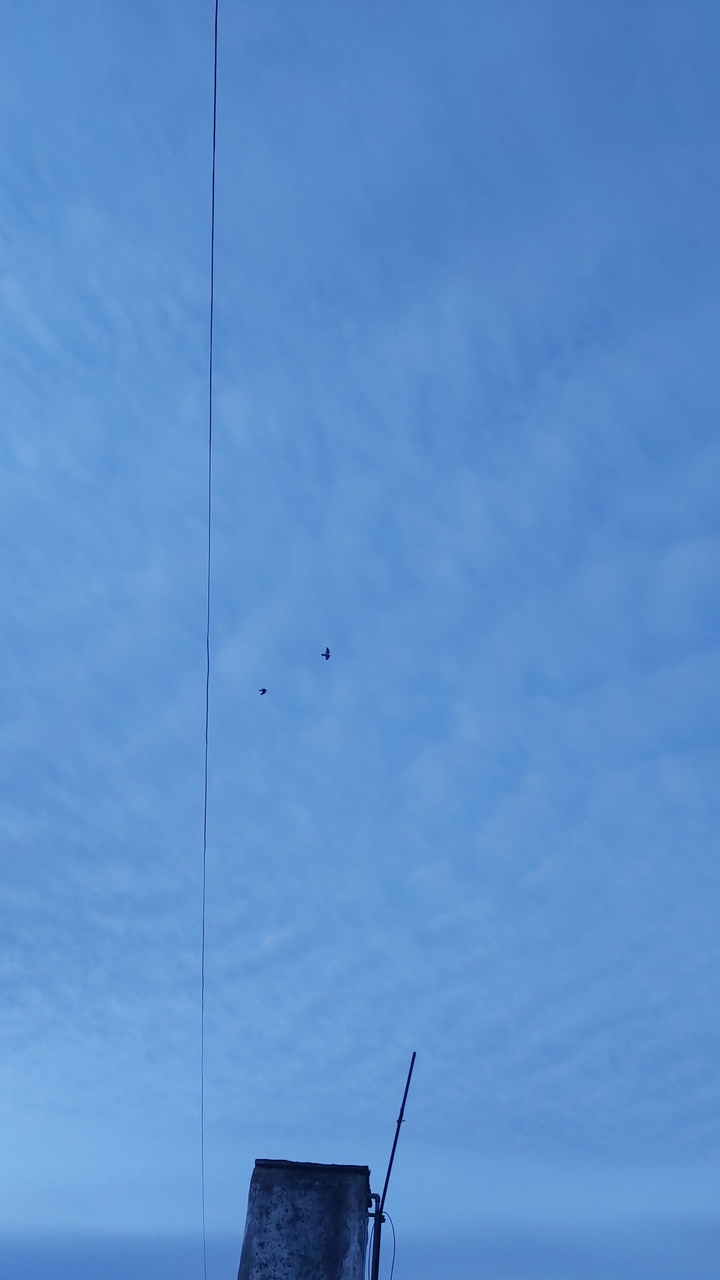 volar