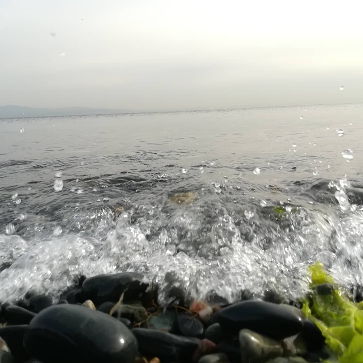 Deniz