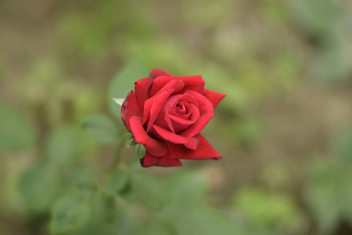 for. u. my. best  s