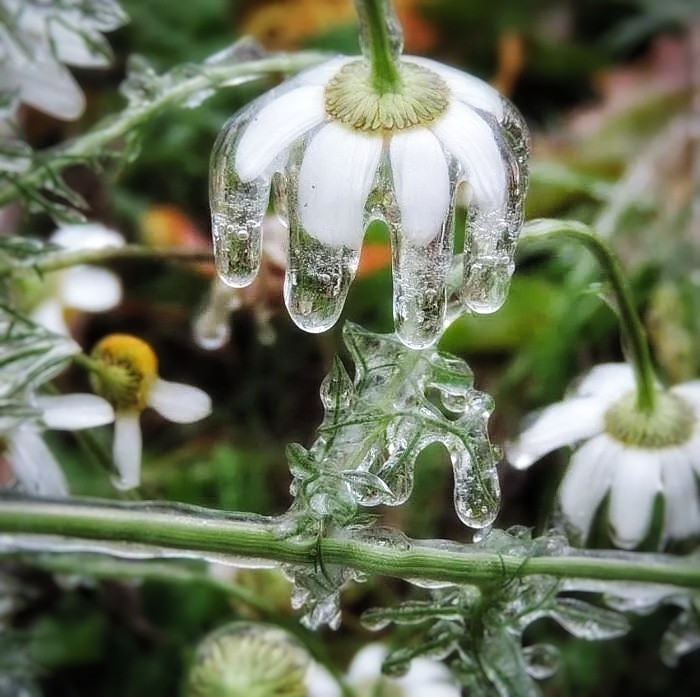 winter