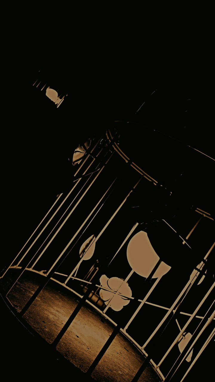 light in the cage.