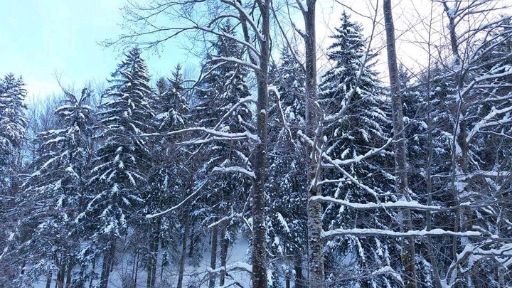 Snow