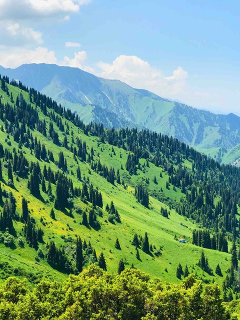 summer in mountains