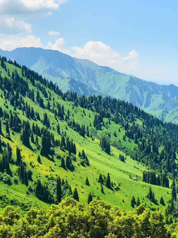 summer in mountains
