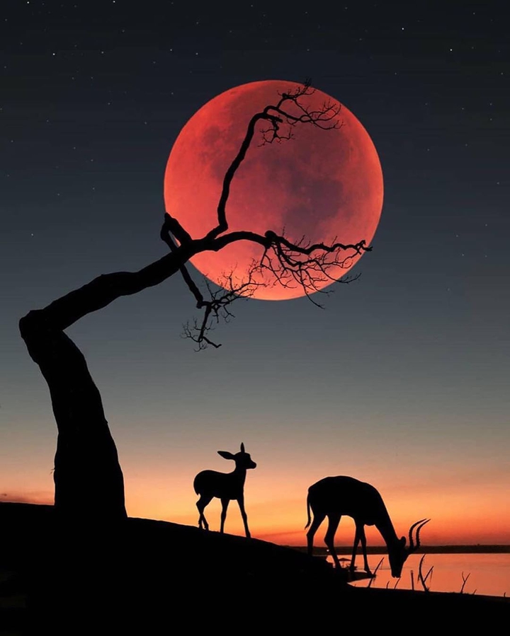 beautiful sunset