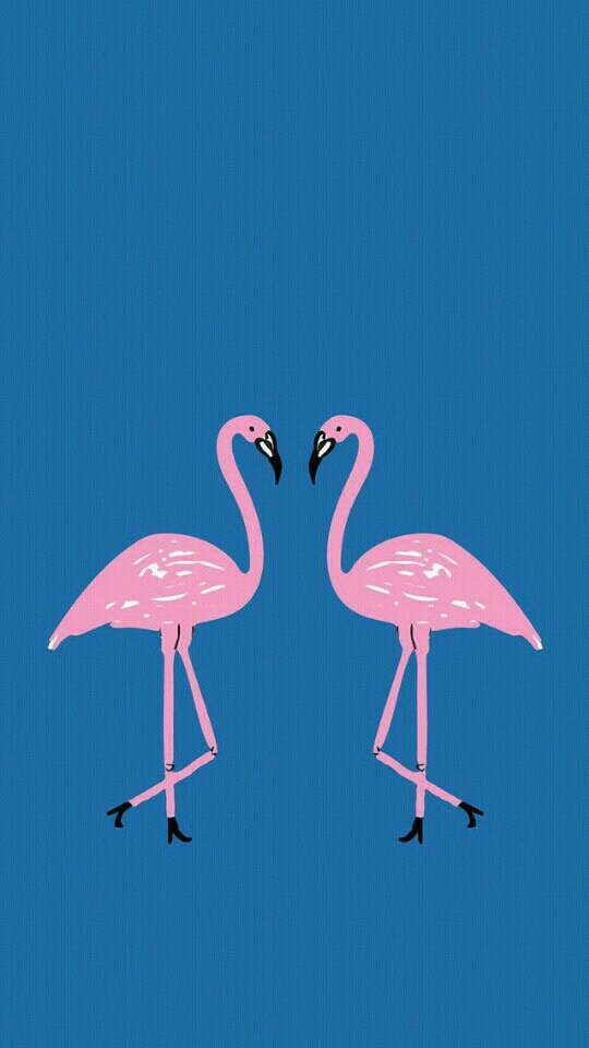 fundo flamingo 2