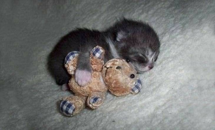 sleepy