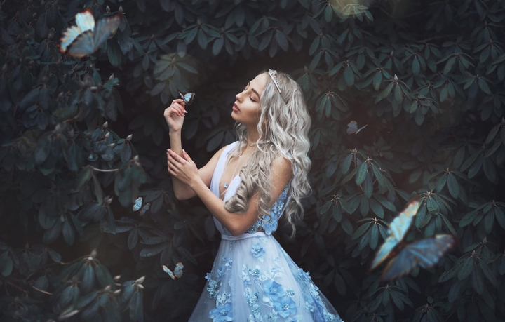 butterfly