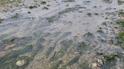 Water Stream