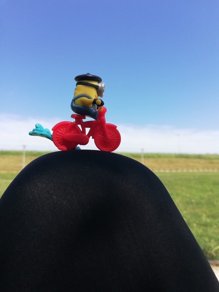 Minion riding
