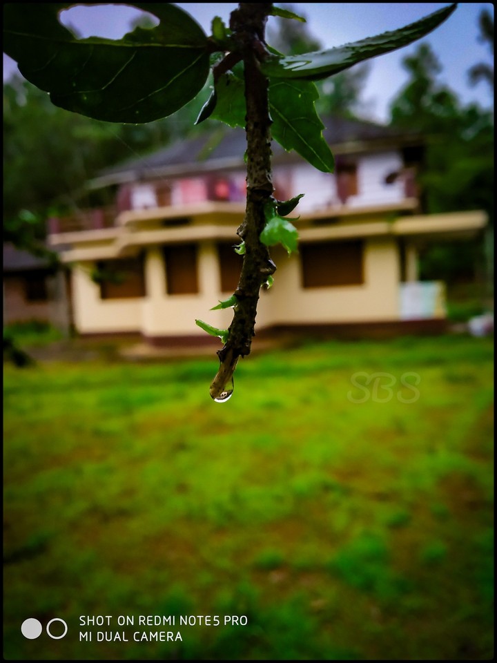 Green house