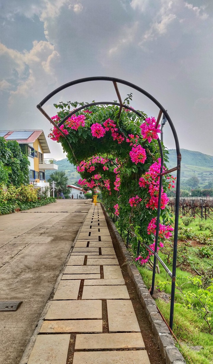 Half Tunnel
