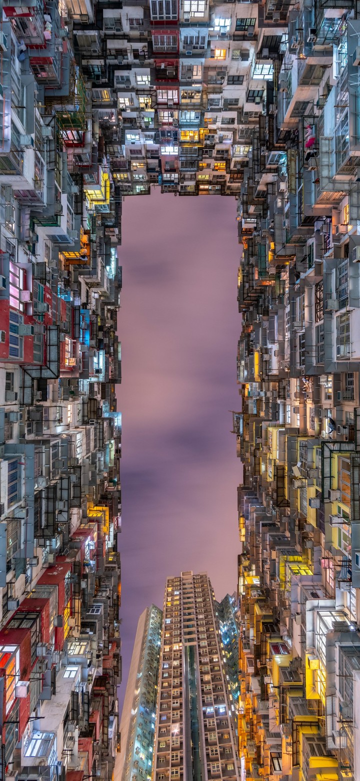 cement jungle