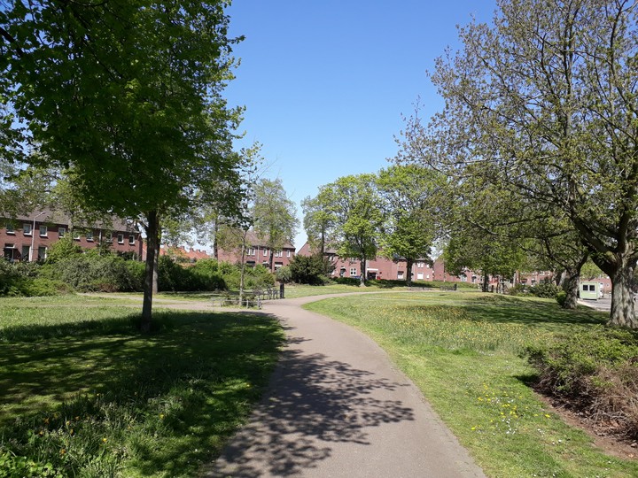 Sunny park