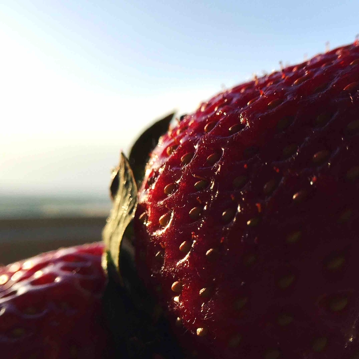 strawberry