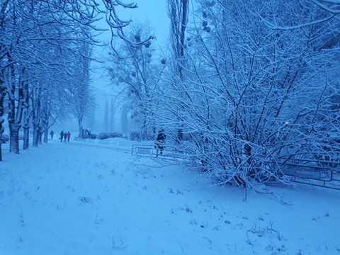 #snow#winter#cold#beautiful#nature#weather