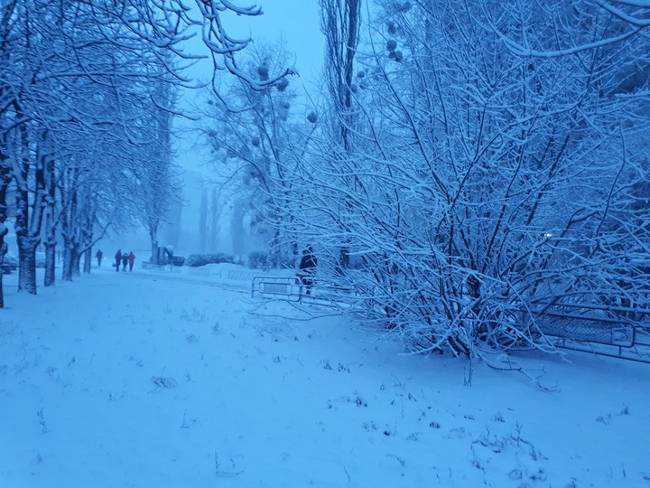 #snow#winter#cold#beautiful#nature#weather