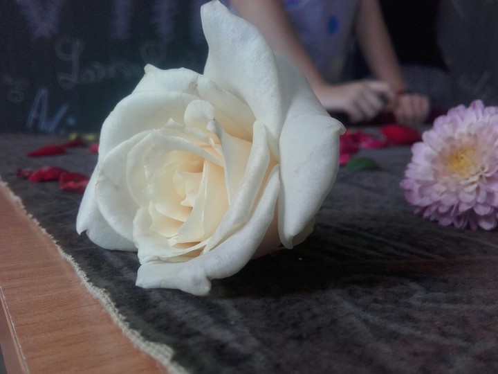 #Rose