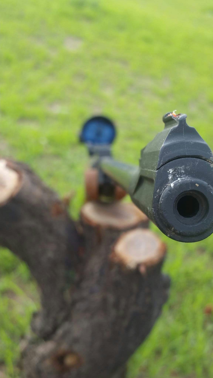 gun