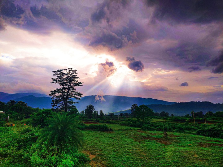 angel rays
