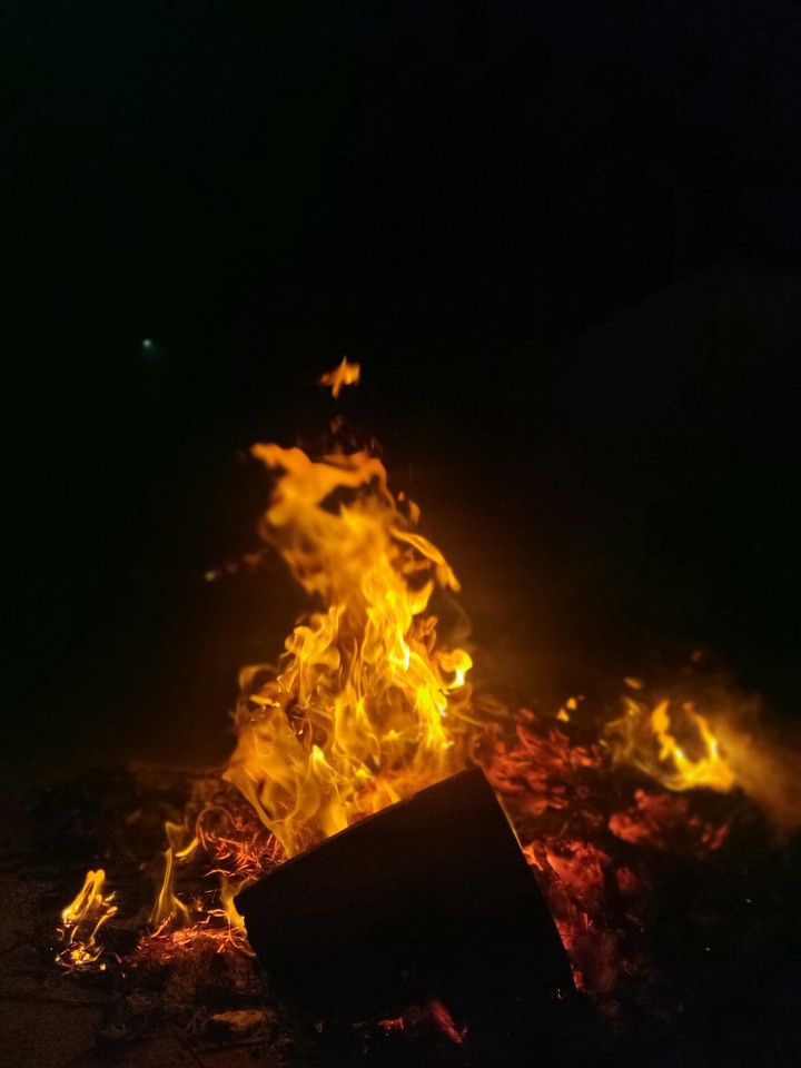 bhogi