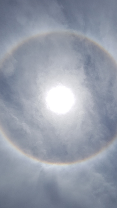 Halo solar