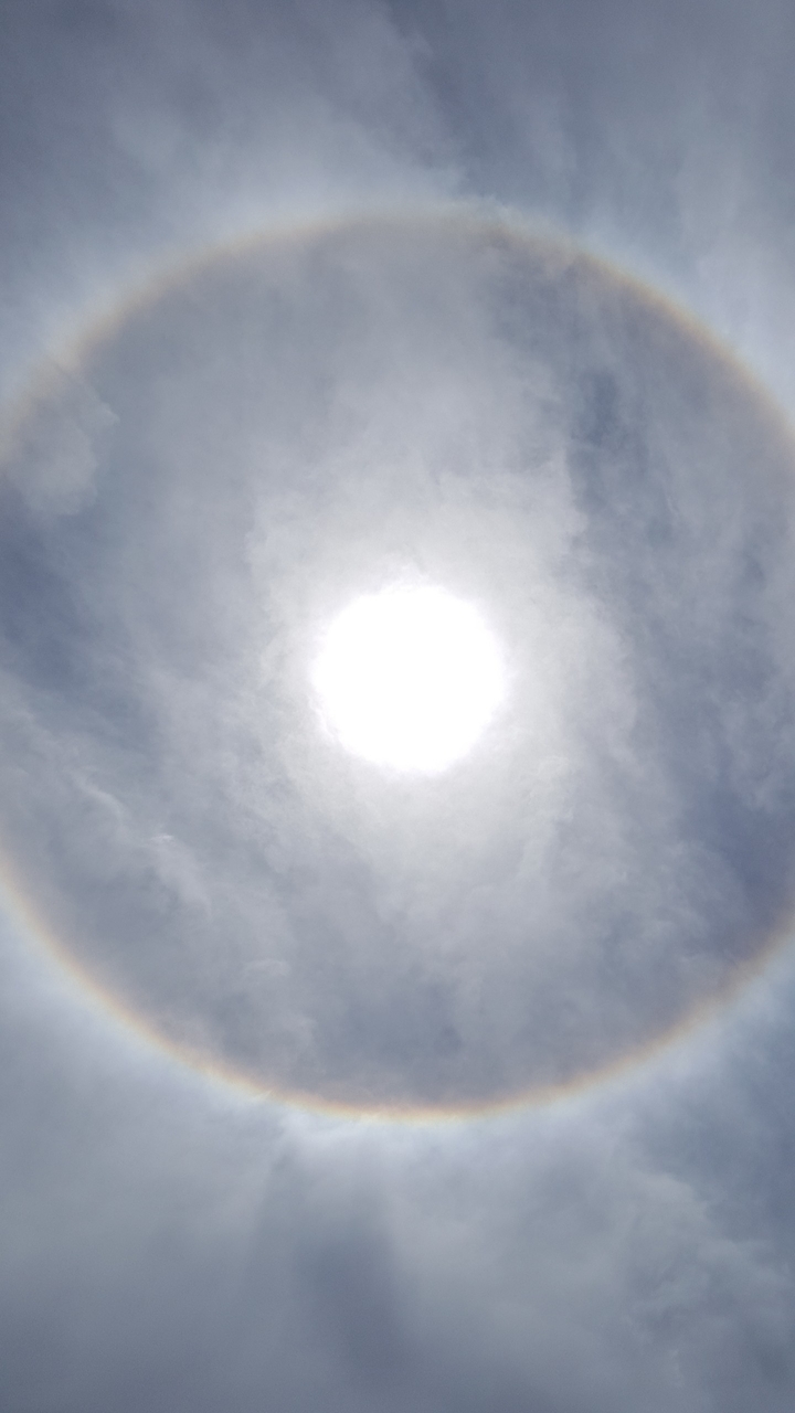 Halo solar