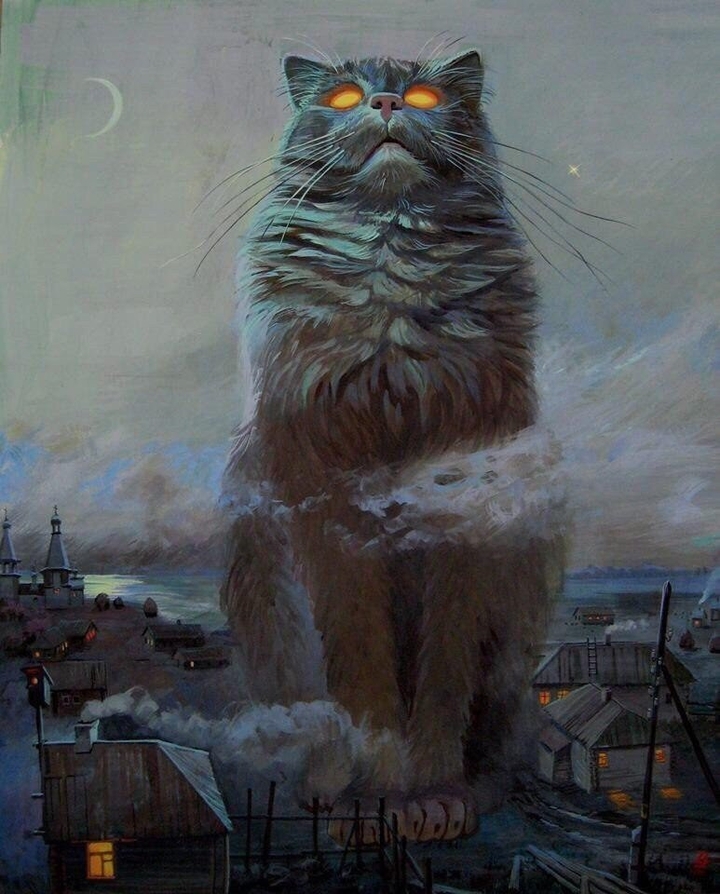 Cat